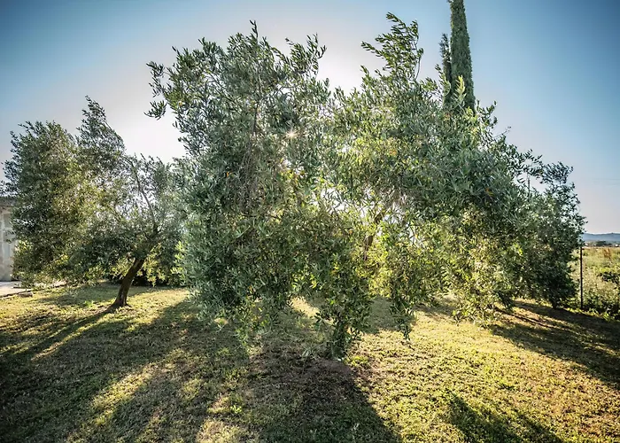 Agriturismo La Martina